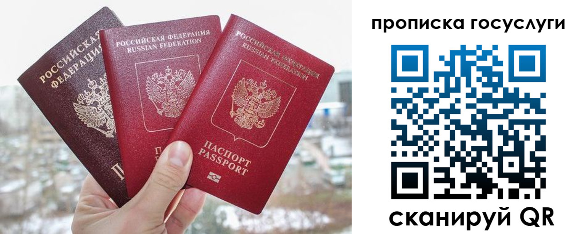 прописка законно в Курчатове